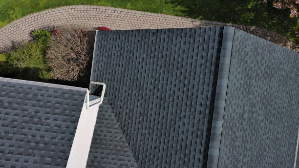 Best Solar Panel Roofing Installation  in Ely, MN